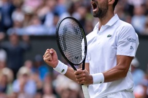 爱游戏体育-德约科维奇在加拿大队比赛中爆冷，大胜引发热议！的简单介绍