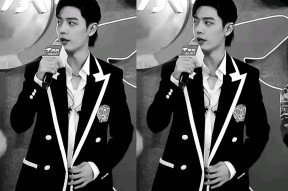 爱游戏体育- karsa进过几次世界赛 